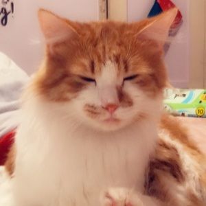 Meet your Posher, Taryn